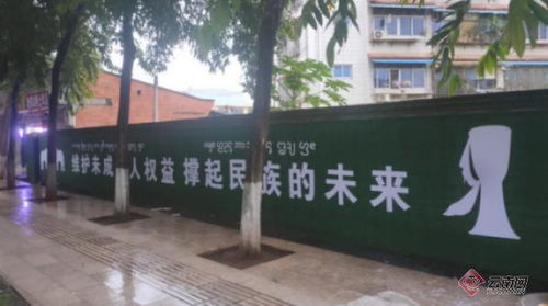 云南景洪 提质公益广告，传递文明新风尚