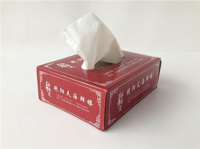 云南昆明广告纸巾厂
